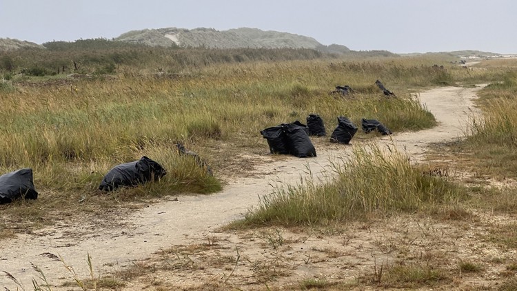 sække med paraffin på stranden